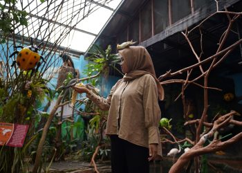 Secret Jungle Drive Thru Park