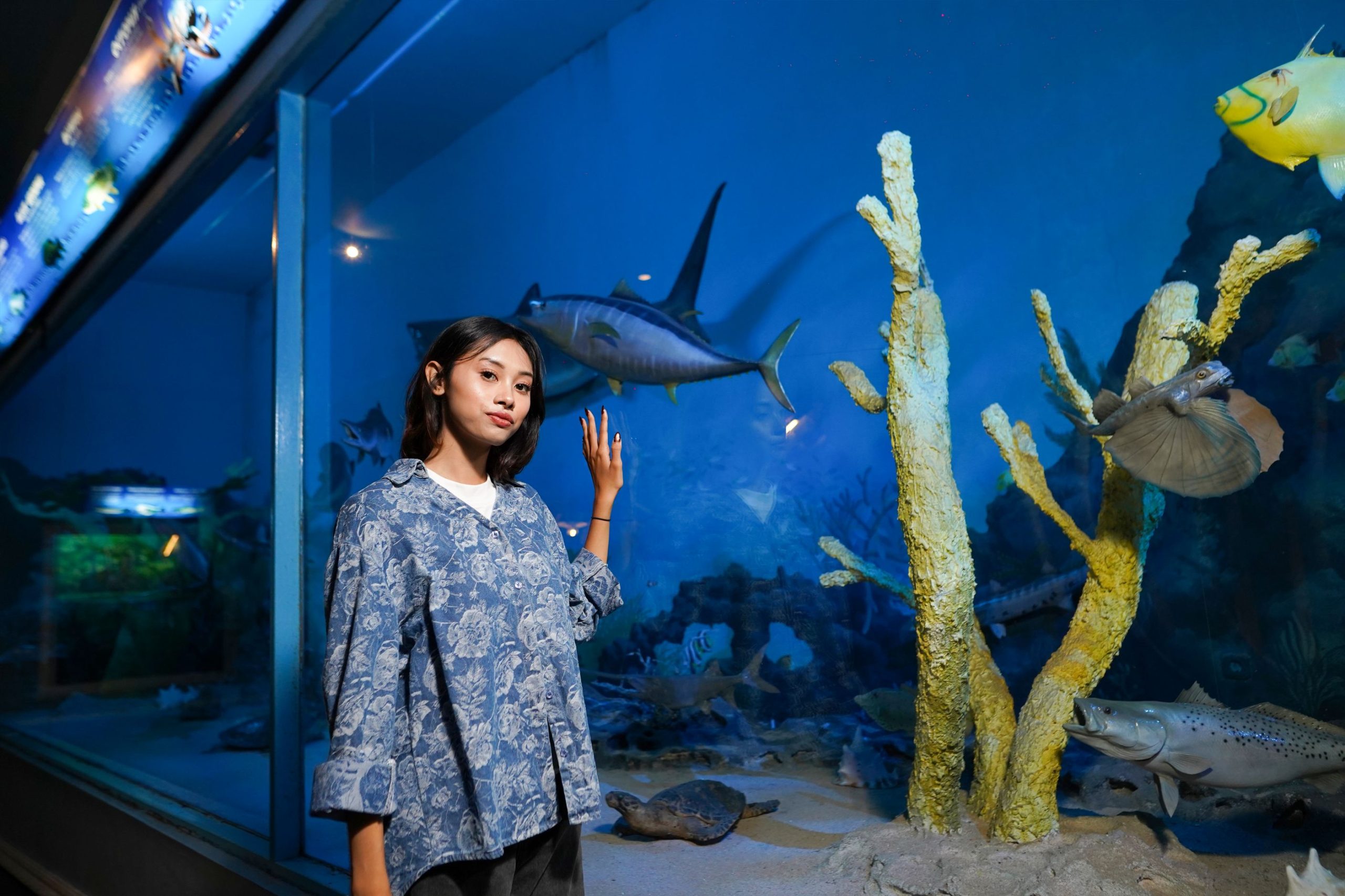 Jelajahi Dunia Laut Dalam Melalui Area Akuatik Di Jatim Park 2