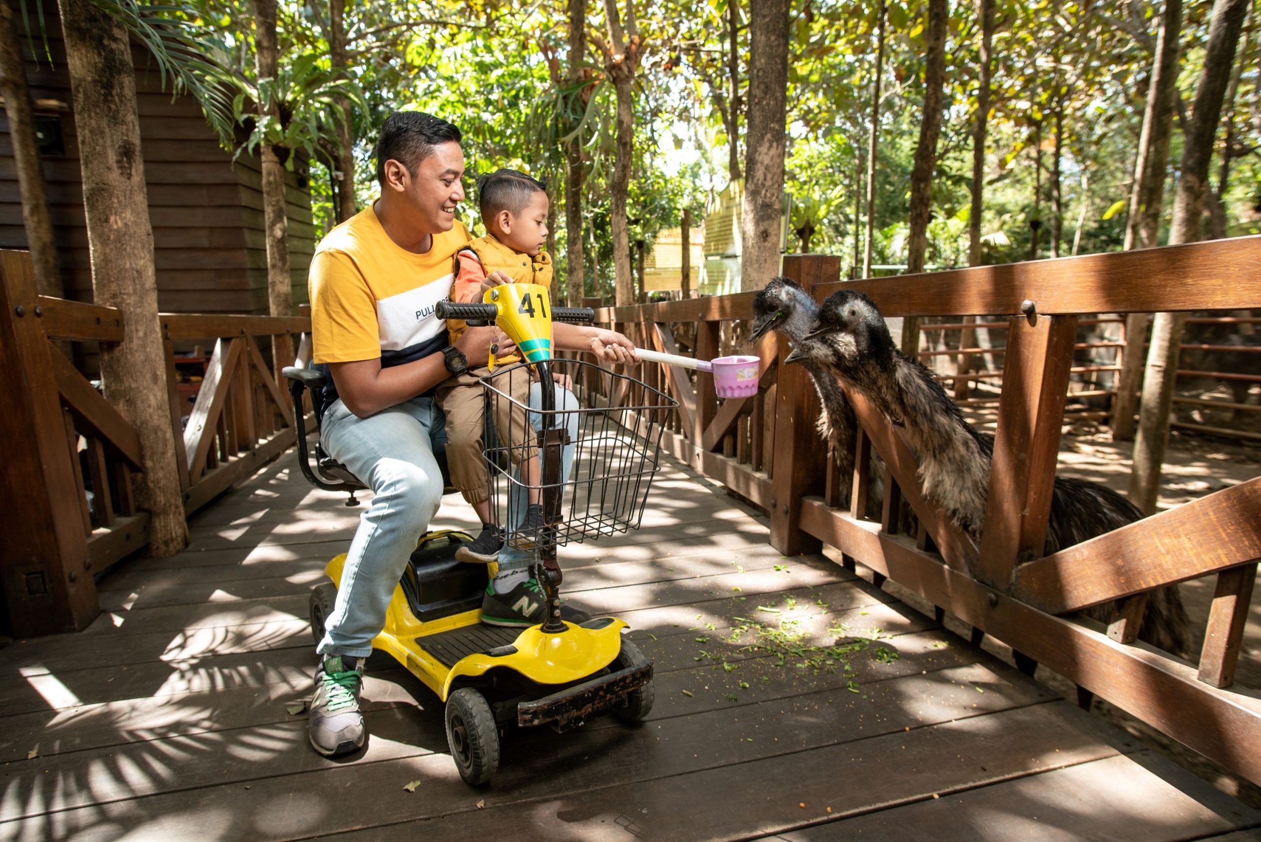 Jelajahi Walking Bird Dan Kenali Burung Burung Besar Dari Berbagai Belahan Dunia Di Eco Active Park