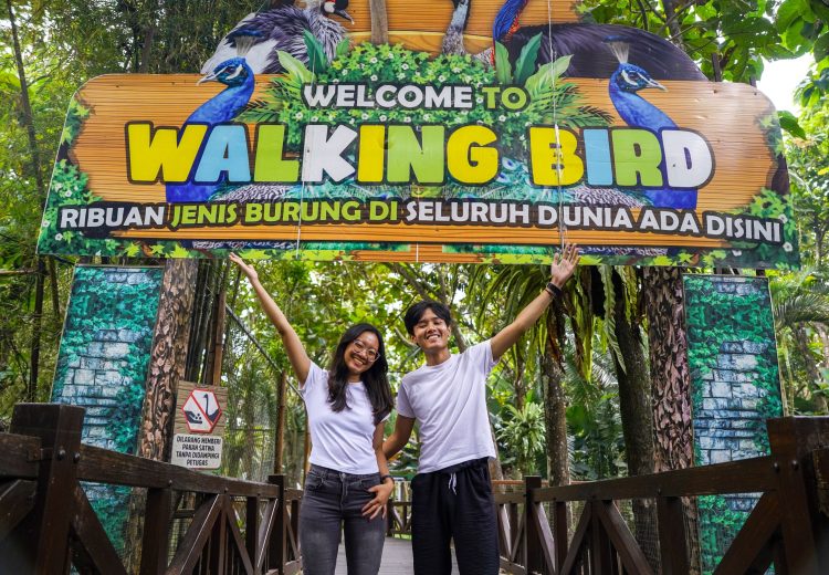 Liburan Sekolah Di Eco Active Park