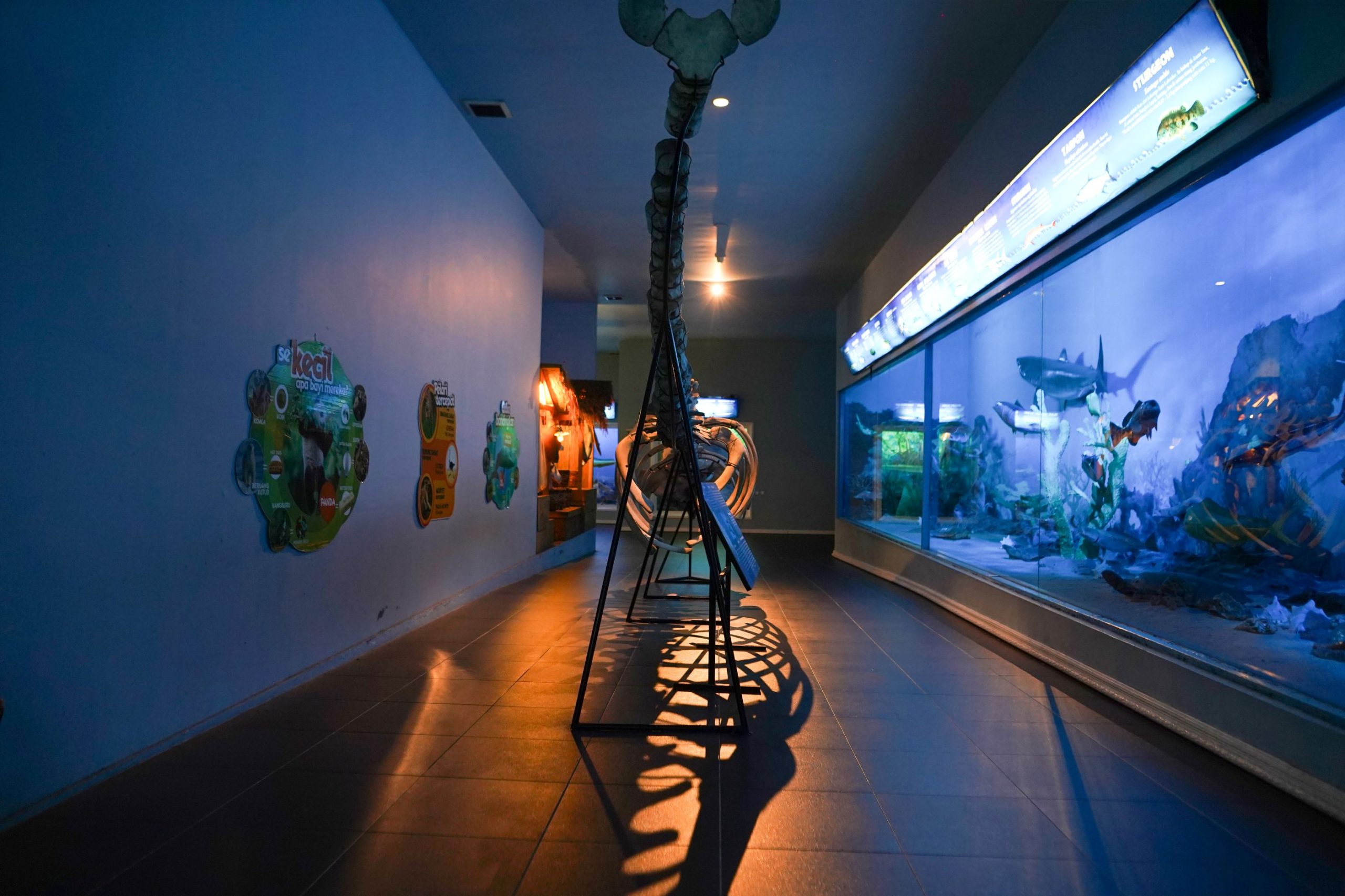 Liburan Sekolah Di Museum Satwa Jatim Park 2