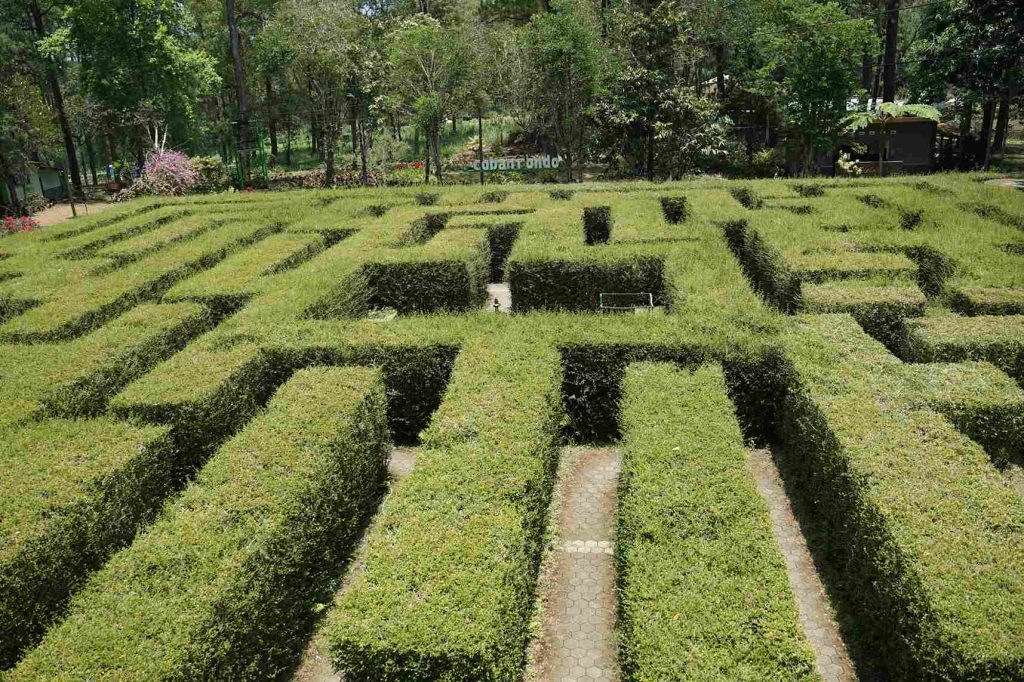 Labirin Coban Rondo Labirin Coban Rondo