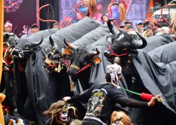 Festival bantengan di kota malang