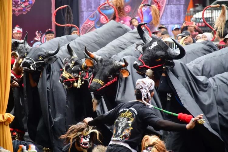 Festival bantengan di kota malang