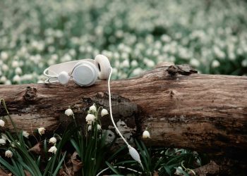 Dengarkan Noise sesuai dengan kebutuhanmu (Envato)