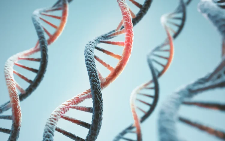 Anthropic Buka Laboratorium Biologi Khusus Guna Uji Bahaya Risiko Biologis
