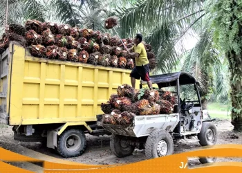 Ekonom Tepis Isu Kerugian Rp600 Triliun Akibat Beda Data Ekspor