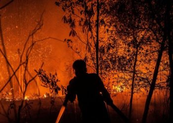 Karhutla Gambut Kalimantan Telan Korban Jiwa Akuntabilitas Pihak Terkait Dipertanyakan