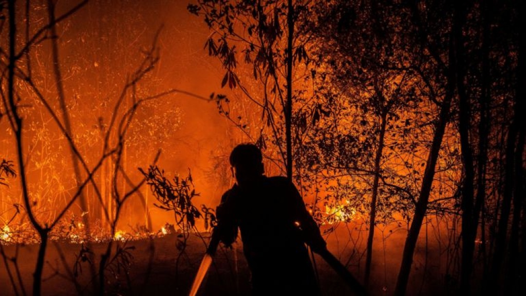 Karhutla Gambut Kalimantan Telan Korban Jiwa Akuntabilitas Pihak Terkait Dipertanyakan