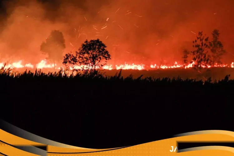 Kebakaran Hutan Meluas Prabowo Bidik Pembatalan Aturan Daerah Yang Izinkan