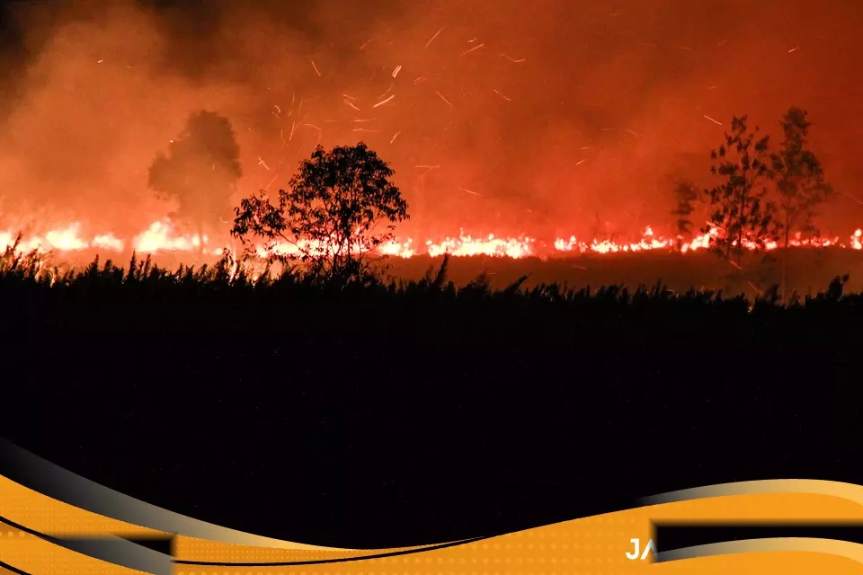 Kebakaran Hutan Meluas Prabowo Bidik Pembatalan Aturan Daerah Yang Izinkan