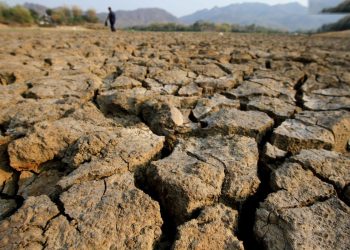 Kemarau Panjang Terjang Jawa Tengah Waduk Tandon Krisak Mengering Total