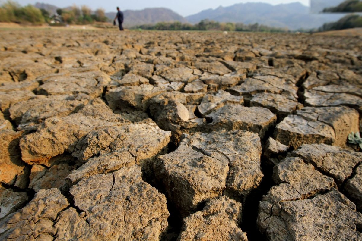 Kemarau Panjang Terjang Jawa Tengah Waduk Tandon Krisak Mengering Total