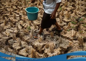 Kementerian Pu Intervensi Kekeringan Di 3288 Lokasi Demi Amankan Ketahanan