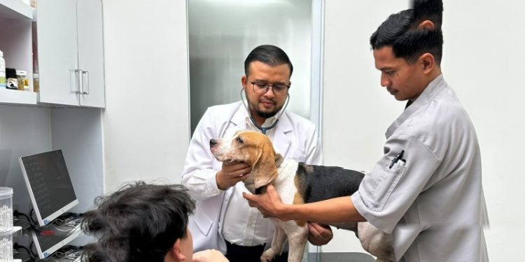 Kendalikan Rabies Mirjawal Tekankan Penguatan Sistem Dan Kolaborasi Lintas Sektor