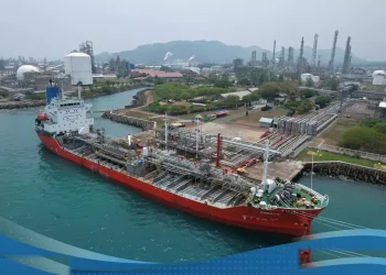 Menakar Ketahanan Saham Grup Prajogo Pangestu Di Tengah Dinamika Pasar