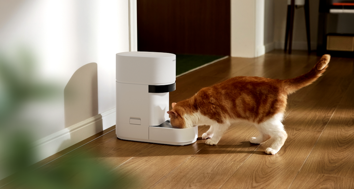 Petlibro Rilis Tempat Makan Kucing Berteknologi Ai Solusi Cerdas Rumah