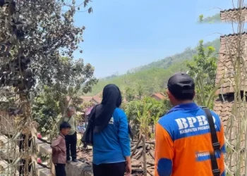 Rumah Warga Pakuniran Roboh Diterjang Angin Kencang Bpbd Probolinggo Tinjau