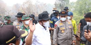Sanksi Tegas Karhutla, Pemerintah Ancam Cabut Izin Perusahaan Pengobar Karhutla