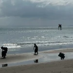 Strategi Float Menjaga Keberlanjutan Musisi dan Ekosistem Kreatif Lewat Float2Nature