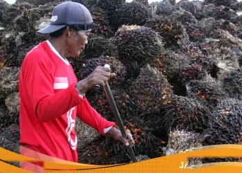 As Larang Impor Minyak Sawit Dari Dua Perusahaan Indonesia Akibat