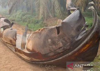 Brin Pastikan Benda Langit Yang Jatuh Di Kebun Sawit Kalteng