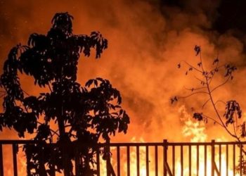 Belasan Taman Nasional Terbakar Sepanjang 2026 Kinerja Satgas Dinilai Gagal