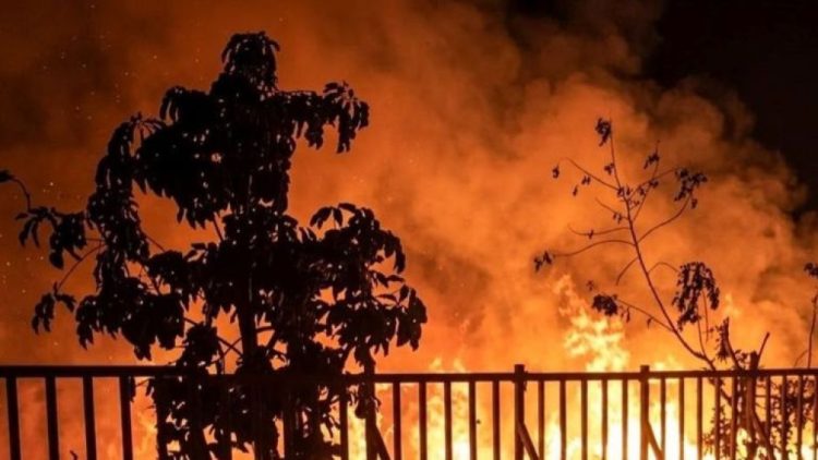 Belasan Taman Nasional Terbakar Sepanjang 2026 Kinerja Satgas Dinilai Gagal
