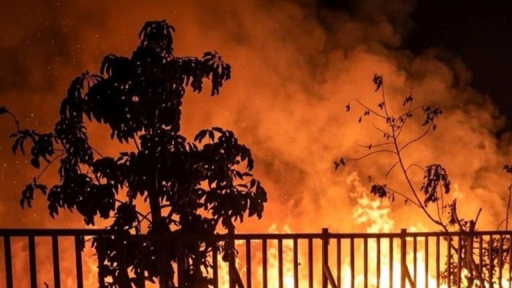 Belasan Taman Nasional Terbakar Sepanjang 2026 Kinerja Satgas Dinilai Gagal