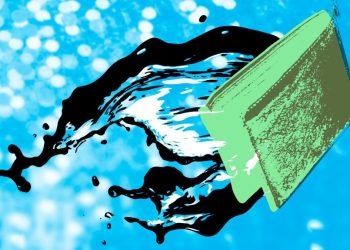 Carta Dan Newview Berkemitraan Dorong Startup Izinkan Karyawan Opsi Jual