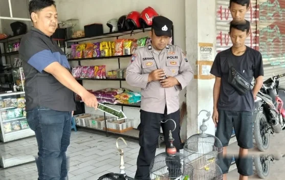 Diduga Satroni Ruko di Pakisaji Malang, Pria Asal Sukun Embat Beras hingga Burung