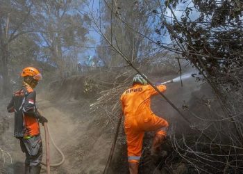 Evaluasi Komando Pemadaman Karhutla Bromo Pascajatuhnya Korban Jiwa