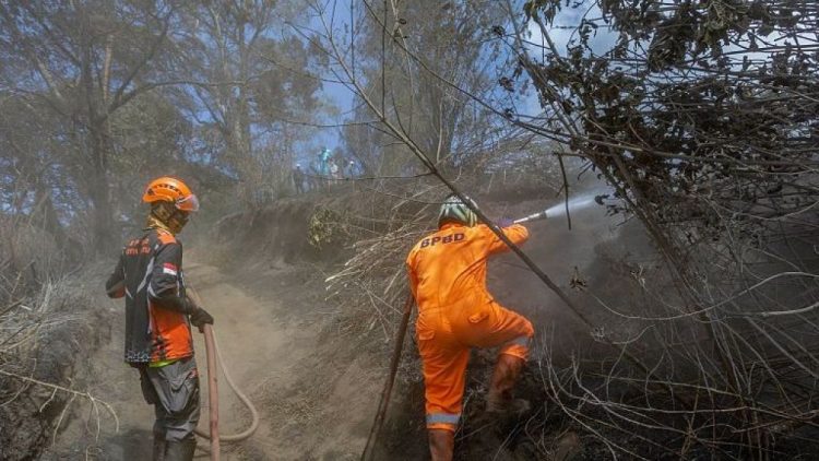 Evaluasi Komando Pemadaman Karhutla Bromo Pascajatuhnya Korban Jiwa