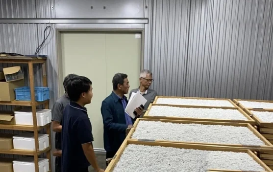 Gandeng Kagoshima Japan Universitas Brawijaya Pacu Riset Global Lewat Dokar