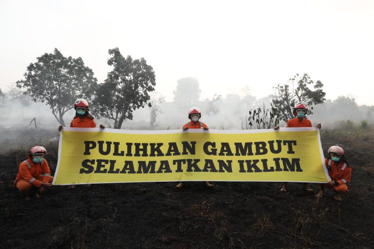 Greenpeace Merespons Keputusan Presiden Prabowo Membentuk Badan Pengelolaan Gambut Dan