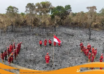 Indonesia Gandeng Malaysia Dan Singapura Atasi Ancaman Kabut Asap Lintas