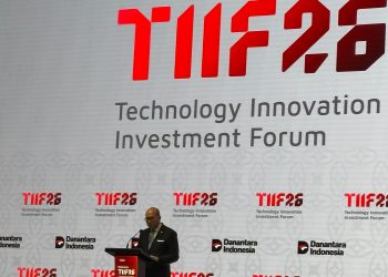 Investor Tiongkok Incar Proyek Plts Tekstil Dan Hilirisasi Mineral Danantara
