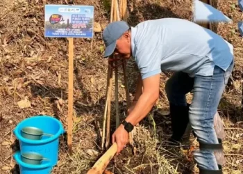 Jaga Kelestarian Sumber Merjosari Perumda Tugu Tirta Tanam 500 Pohon