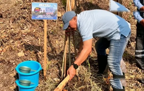 Jaga Kelestarian Sumber Merjosari, Perumda Tugu Tirta Tanam 500 Pohon Resapan