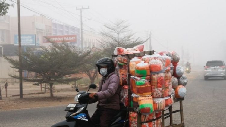 Kabut Asap Karhutla Mencekik Pendapatan Pedagang Umkm Dan Ojol