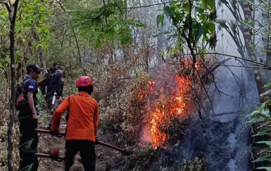 Karhutla Gunung Arjuno Meluas Hingga Masuk Wilayah Kota Batu
