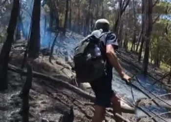 Karhutla Gunung Buthak Malang Padam Petugas Waspadai Sisa Titik Api