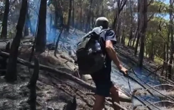 Karhutla Gunung Buthak Malang Padam Petugas Waspadai Sisa Titik Api