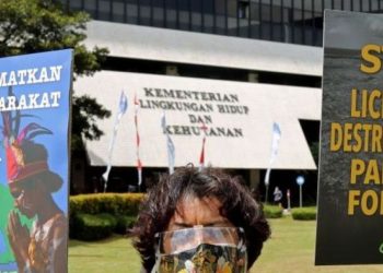 Karhutla Kian Parah Puluhan Ribu Hektare Lahan Di Papua Hangus