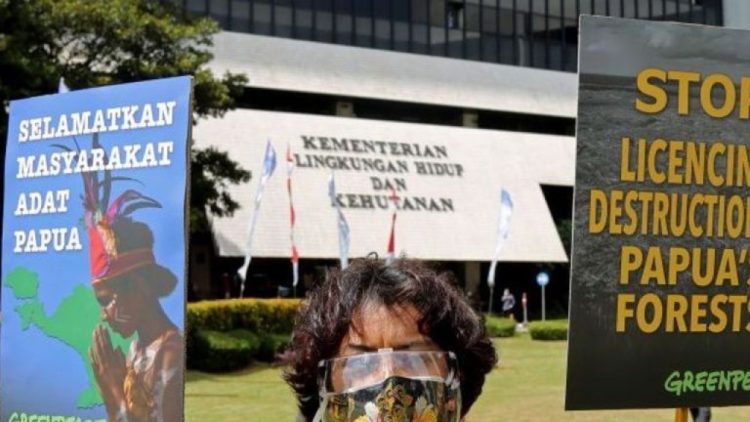 Karhutla Kian Parah Puluhan Ribu Hektare Lahan Di Papua Hangus