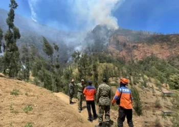 Kebakaran Bromo Belum Padam Medan Terjal Jalur Pasuruan Malang Hambat Petugas