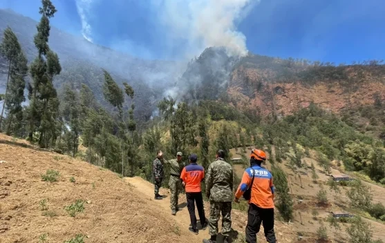 Kebakaran Bromo Belum Padam Medan Terjal Jalur Pasuruan Malang Hambat Petugas