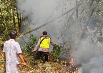 Kekompakan Polisi Dan Warga Bululawang Padamkan Kebakaran Lahan Malang