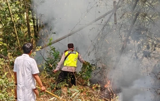 Kekompakan Polisi Dan Warga Bululawang Padamkan Kebakaran Lahan Malang