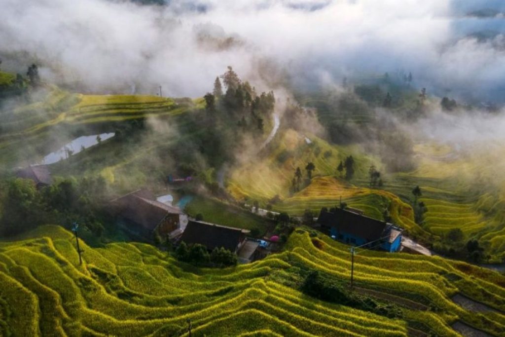 Konferensi Budaya Pertanian Global Ke-4 Resmi Dibuka di Loudi Hunan